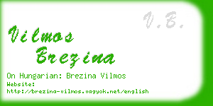 vilmos brezina business card